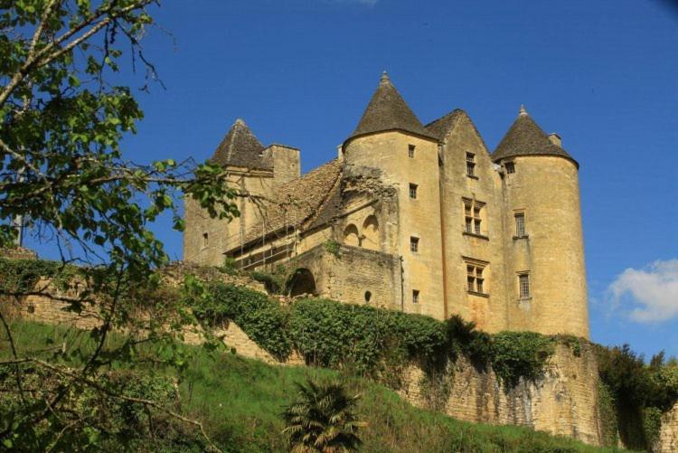 Petite Maison En Pierre Au Coeur Du Perigord Noir Proche De Sarlat Et Rocamadour Salignac Eyvigues Екстериор снимка