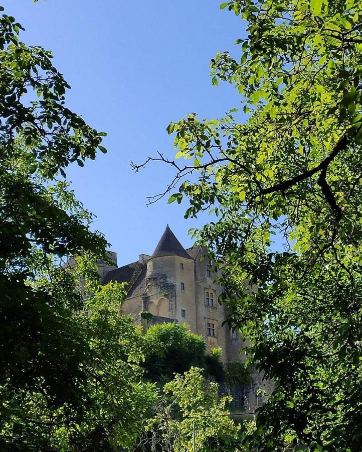Petite Maison En Pierre Au Coeur Du Perigord Noir Proche De Sarlat Et Rocamadour Salignac Eyvigues Екстериор снимка